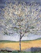 Ferdinand Hodler Cherry tree in bloom oil painting artist